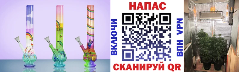 Купить наркотики сайты Тихвин КОКАИН  Галлюциногенные грибы  Бошки Шишки 