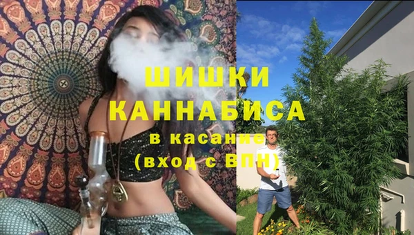 бутират Нягань