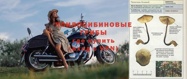 бутират Нягань